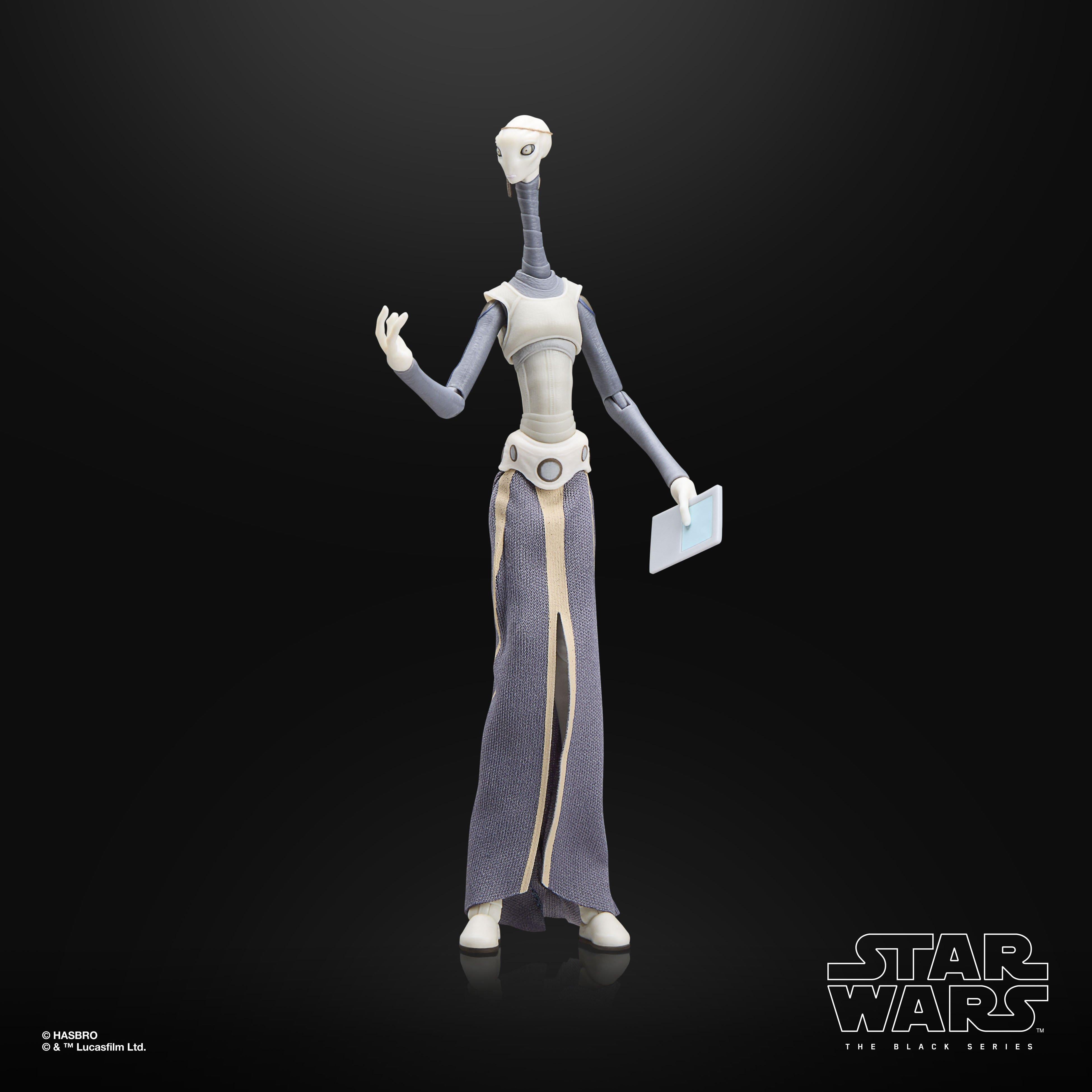 Star Wars The Black Series Taun We