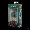The Legend of Zelda Heroes of Hyrule Link